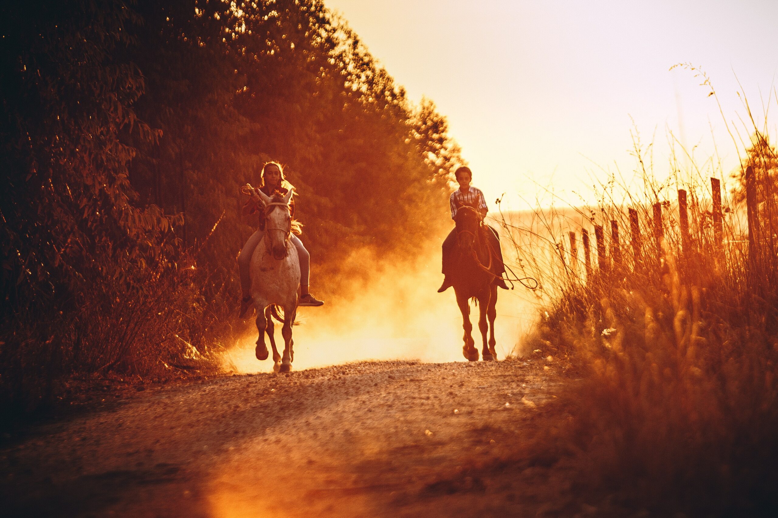 two riders horseback riding near Solvang, CA at sunset
