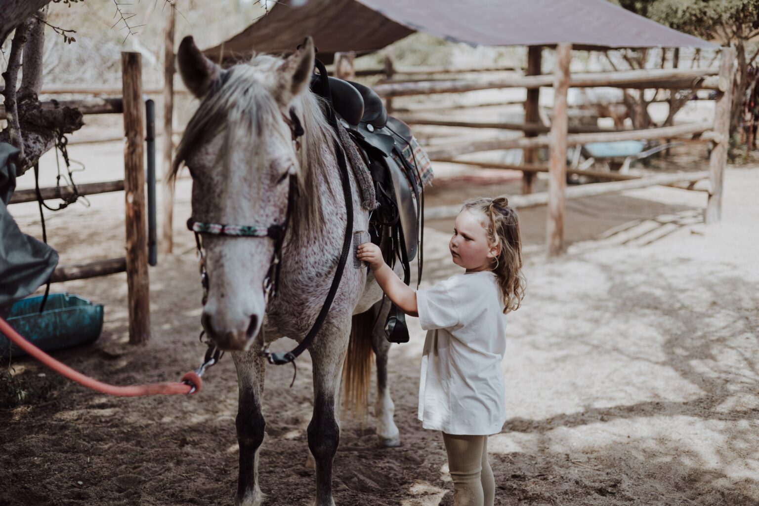 Where to Enjoy Horseback Riding Near Solvang, California