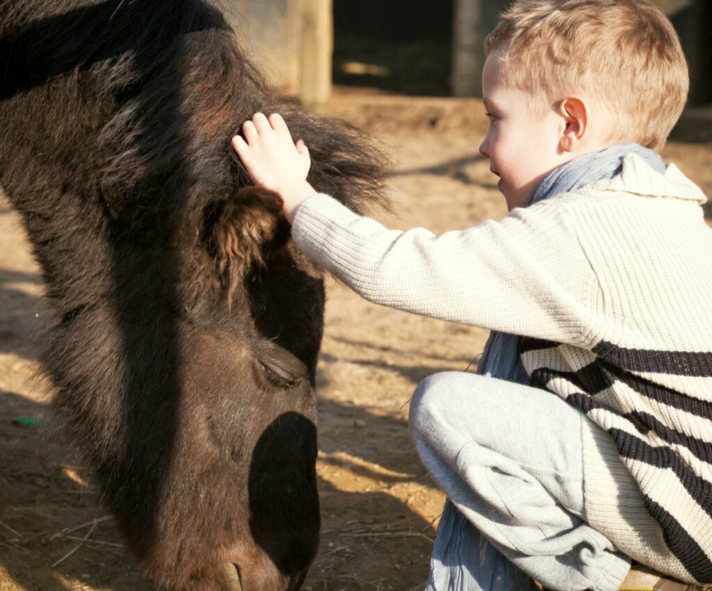 Child petting a mini horse in Solvang, CA