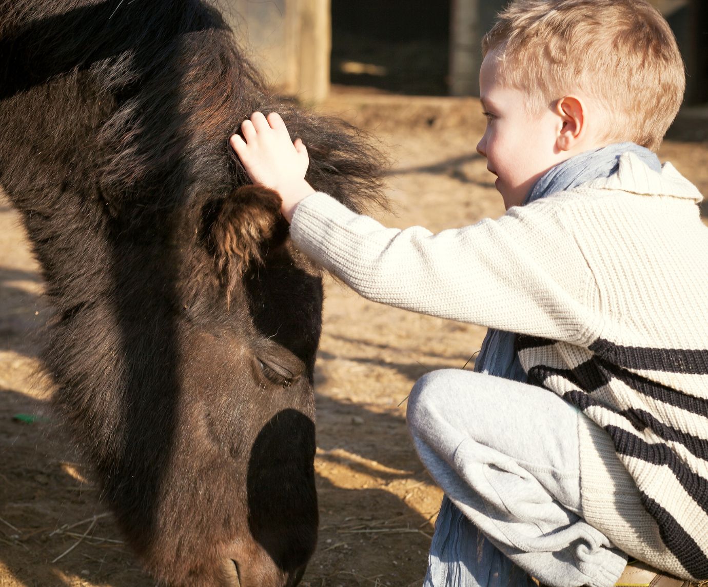 Child petting a mini horse in Solvang, CA